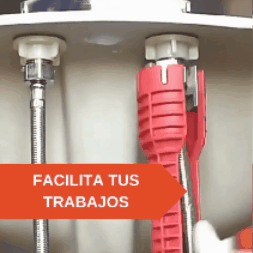 Encabezado