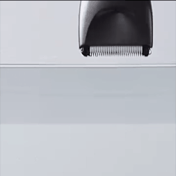 Encabezado
