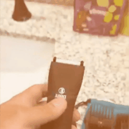 Encabezado