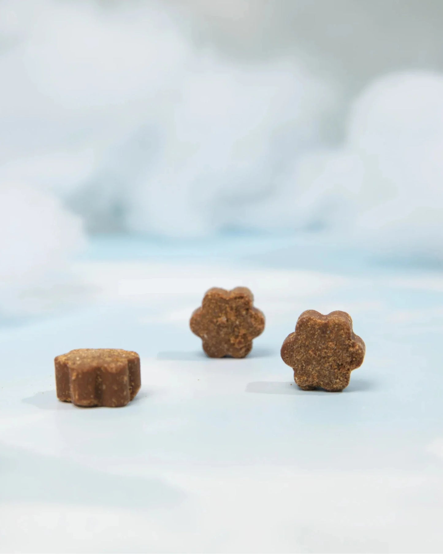 🐾Amor Incondicional en un Solo Chew: El Soporte Nutricional para que Sus Años Sean los Mejores.🐶Envío Gratis