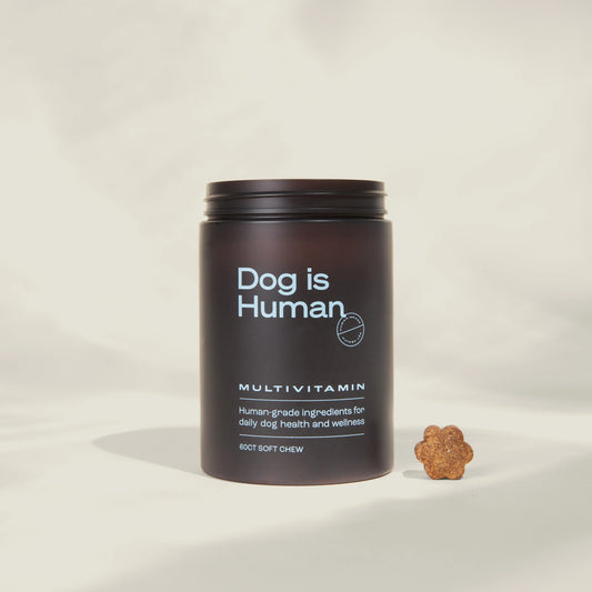 🐾Amor Incondicional en un Solo Chew: El Soporte Nutricional para que Sus Años Sean los Mejores.🐶Envío Gratis